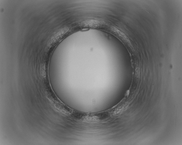 X0000067330403200604131706