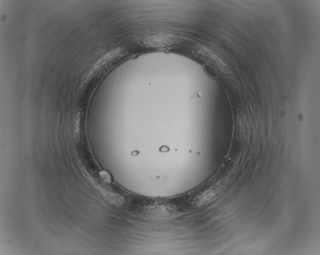 X0000067330404200604131706