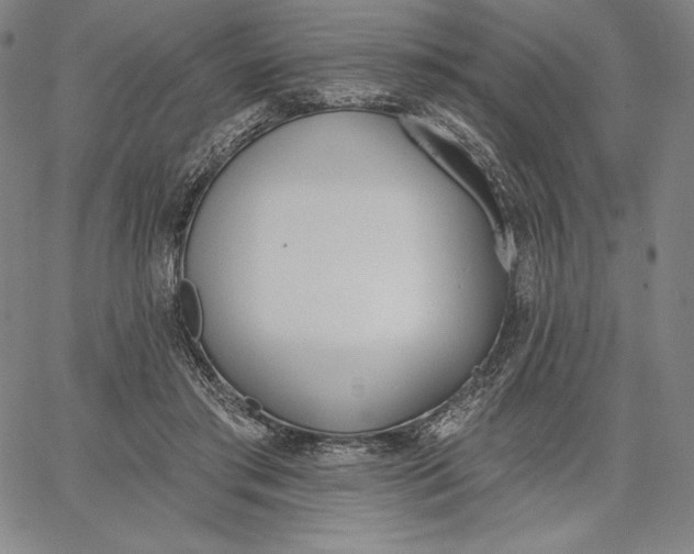 X0000067330405200604131706