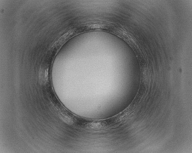 X0000067330406200604131706