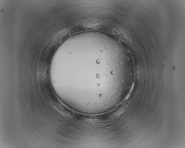 X0000067330408200604131705