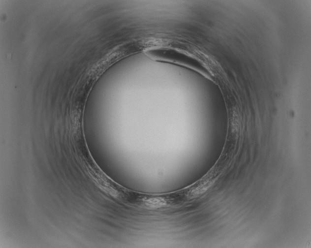 X0000067330409200604131705