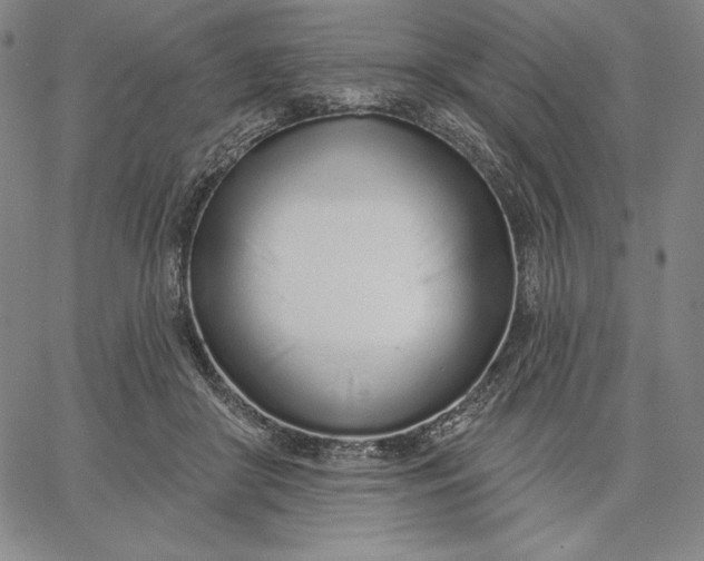 X0000067330410200604131705