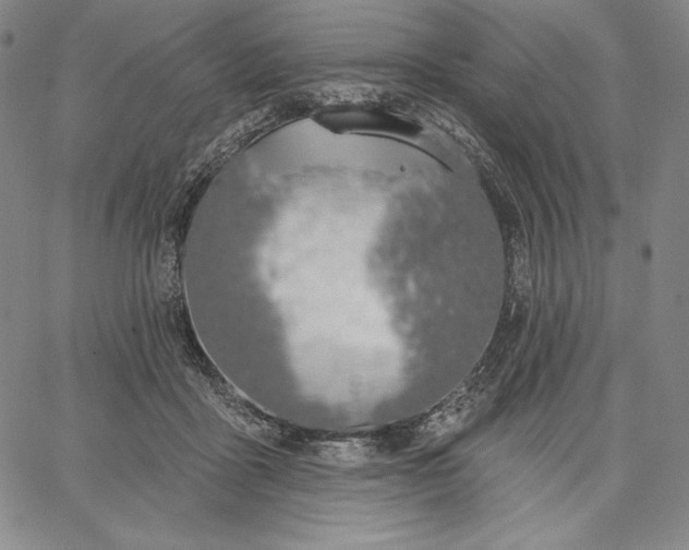 X0000067330411200604131705