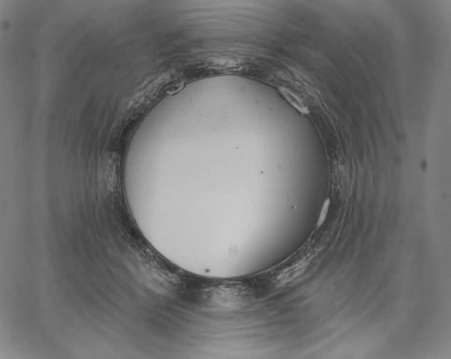 X0000067330412200604131705