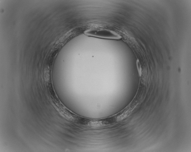 X0000067330413200604131705