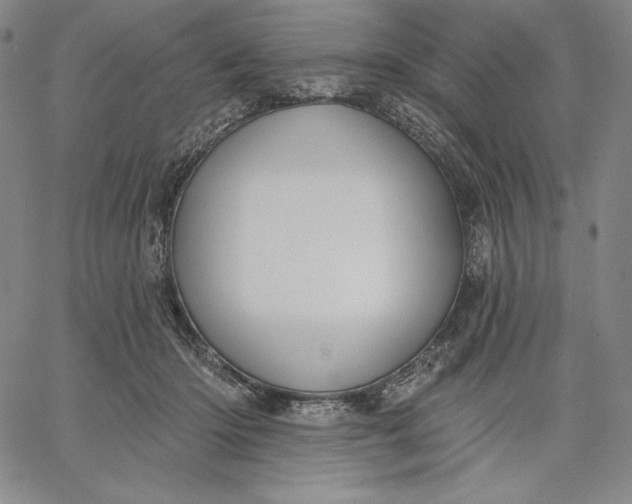 X0000067330414200604131705