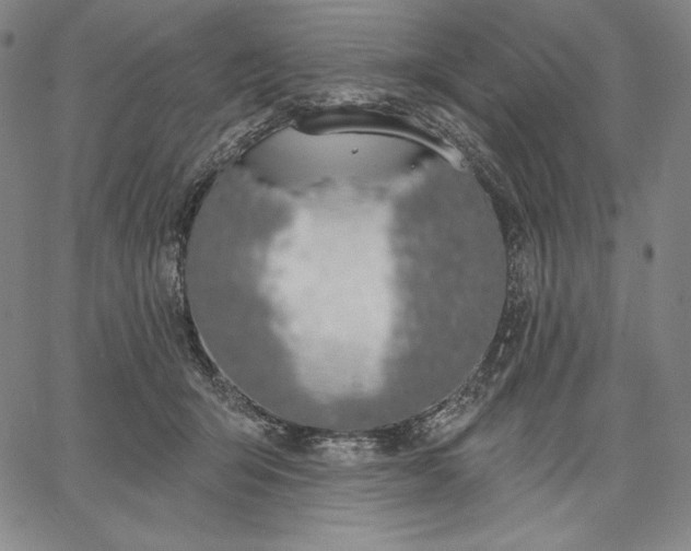 X0000067330415200604131705