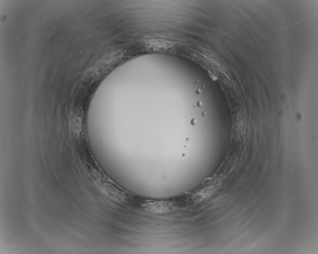 X0000067330417200604131705