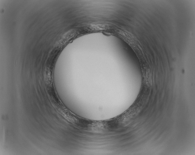 X0000067330418200604131705