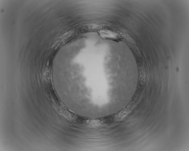 X0000067330419200604131705