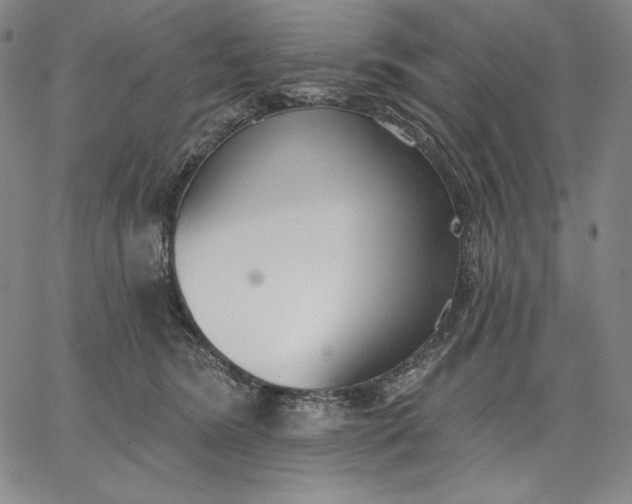 X0000067330420200604131705