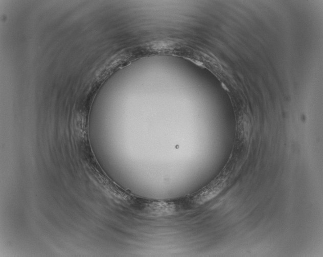 X0000067330421200604131705