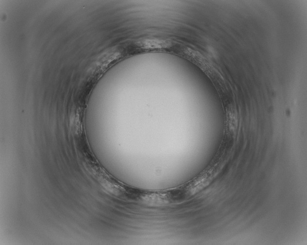 X0000067330422200604131705