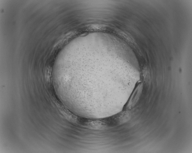 X0000067330423200604131705