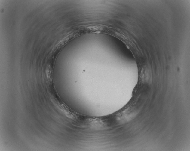 X0000067330424200604131705