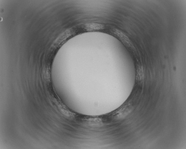 X0000067330426200604131705