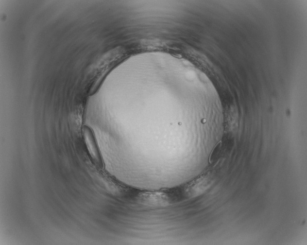 X0000067330427200604131705