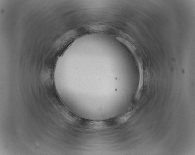 X0000067330428200604131705