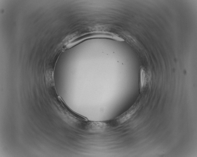 X0000067330429200604131705