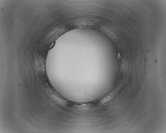 X0000067330430200604131705