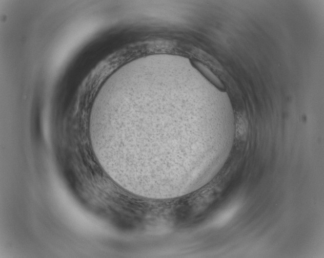 X0000067330431200604131705