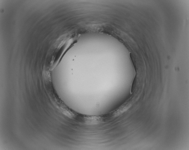 X0000067330432200604131705