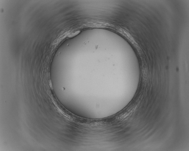 X0000067330433200604131704