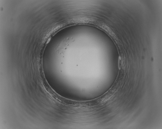 X0000067330434200604131704