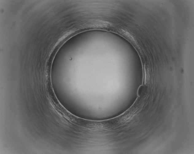 X0000067330435200604131704