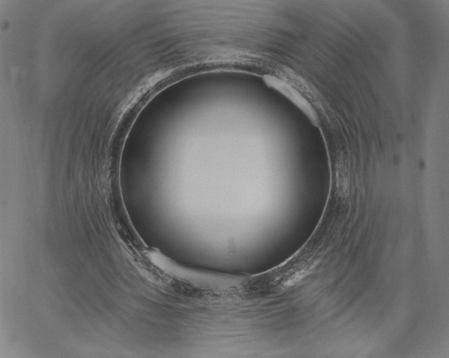 X0000067330436200604131704