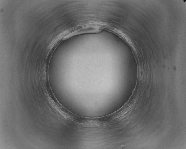 X0000067330437200604131704