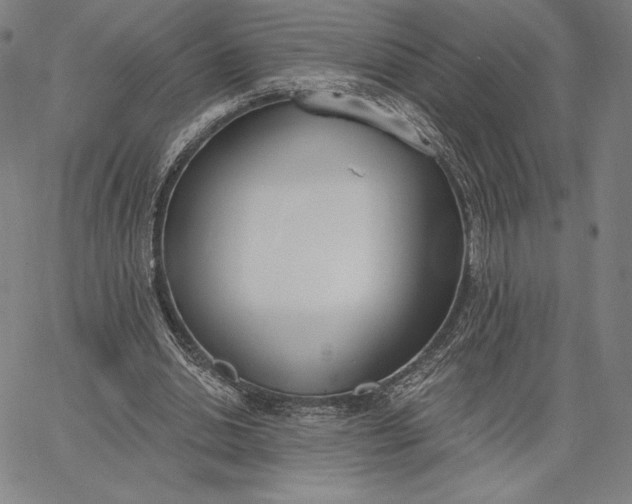 X0000067330438200604131704