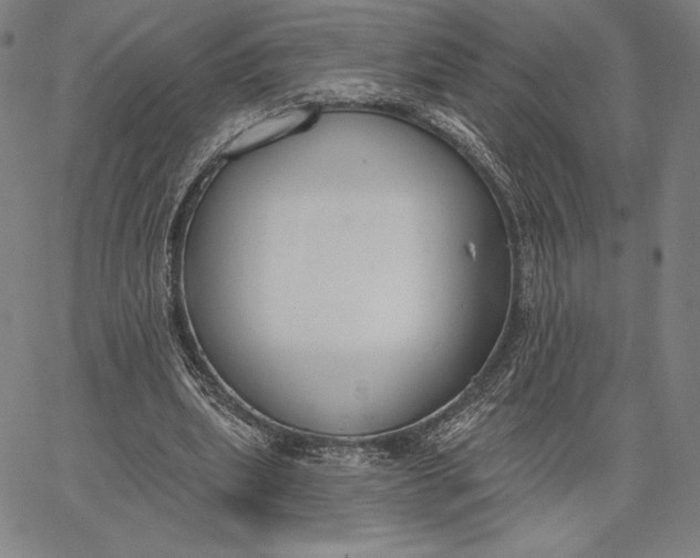 X0000067330439200604131704