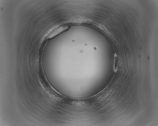 X0000067330440200604131704