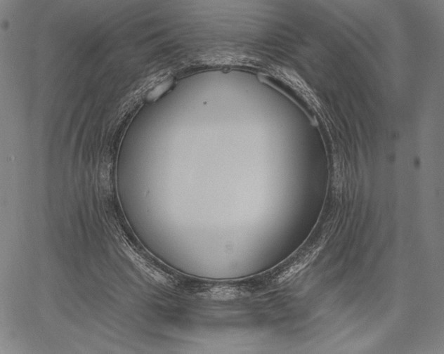 X0000067330441200604131704