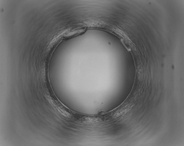 X0000067330442200604131704