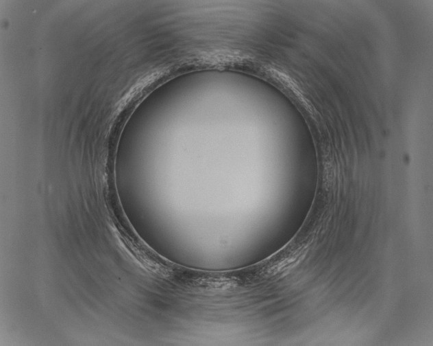 X0000067330443200604131704