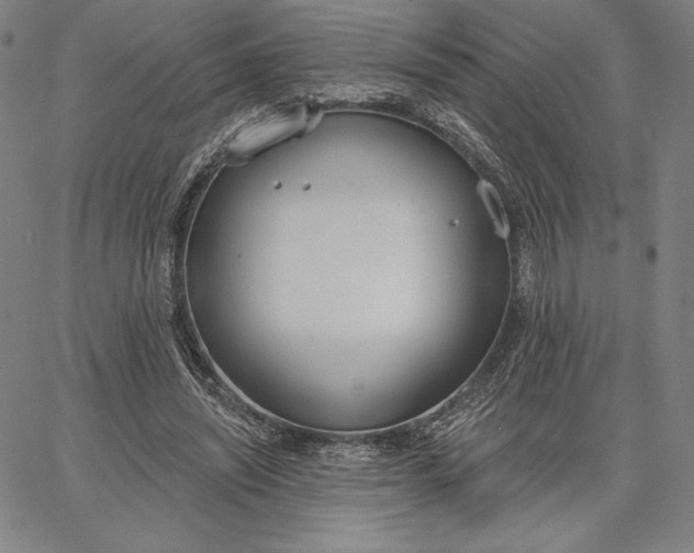 X0000067330444200604131704