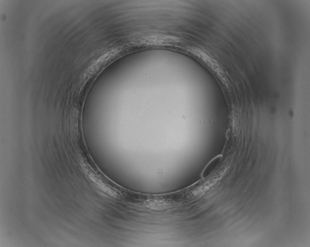 X0000067330445200604131705