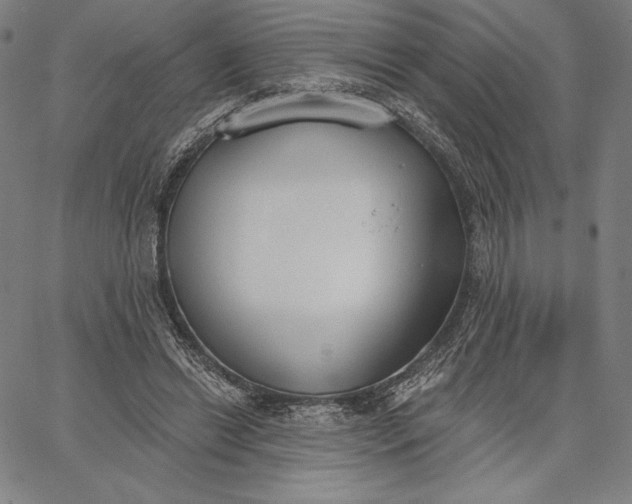 X0000067330446200604131705