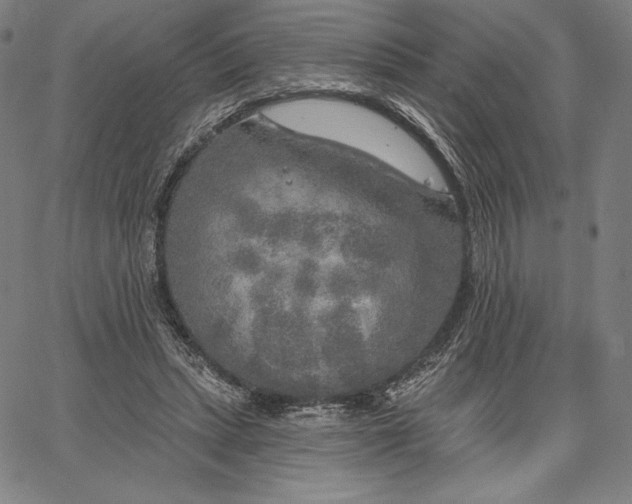 X0000067330447200604131705