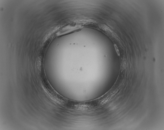 X0000067330448200604131705