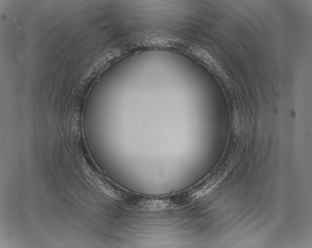 X0000067330449200604131705