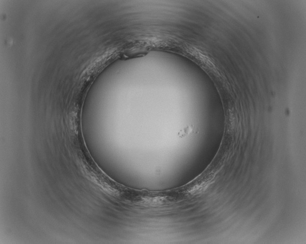 X0000067330450200604131705