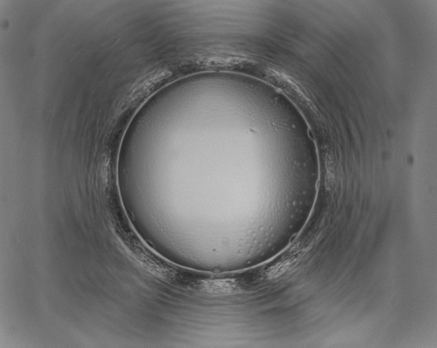 X0000067330451200604131705