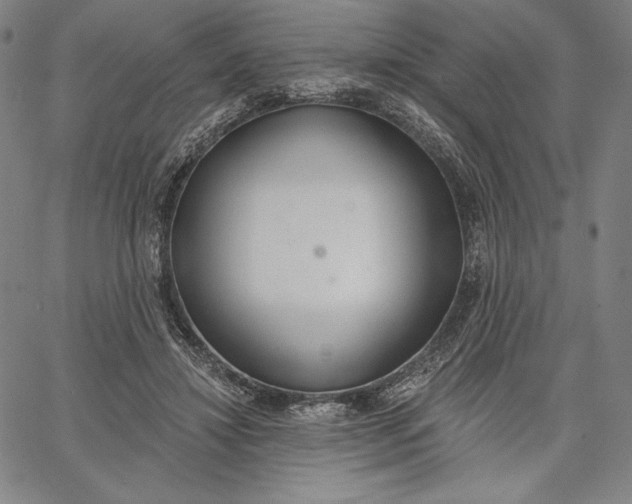 X0000067330452200604131705