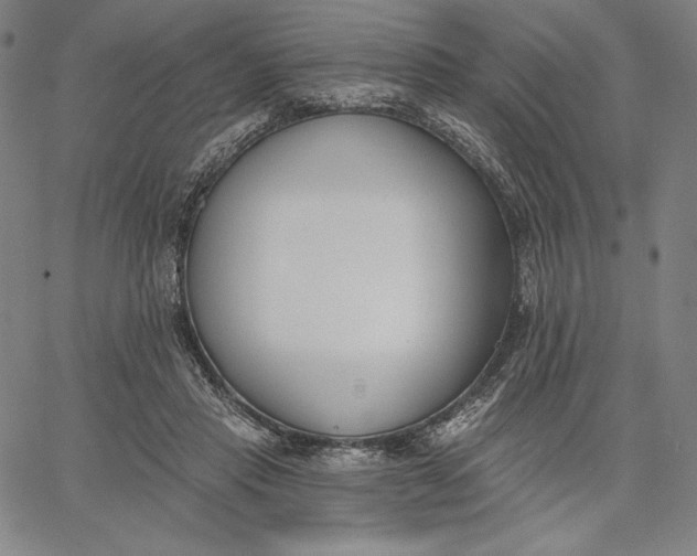 X0000067330453200604131705