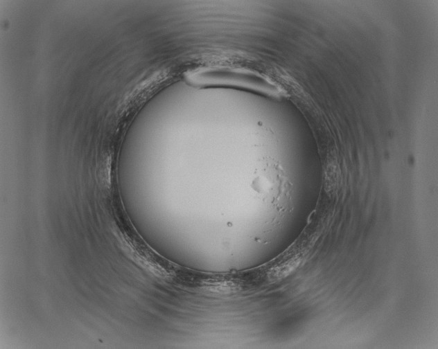 X0000067330454200604131705