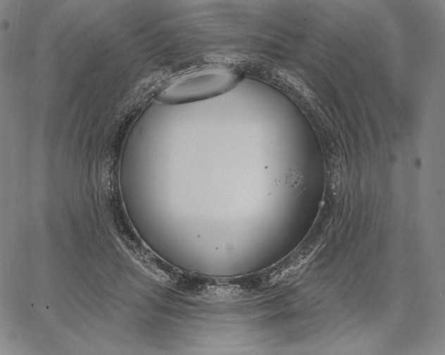 X0000067330455200604131705